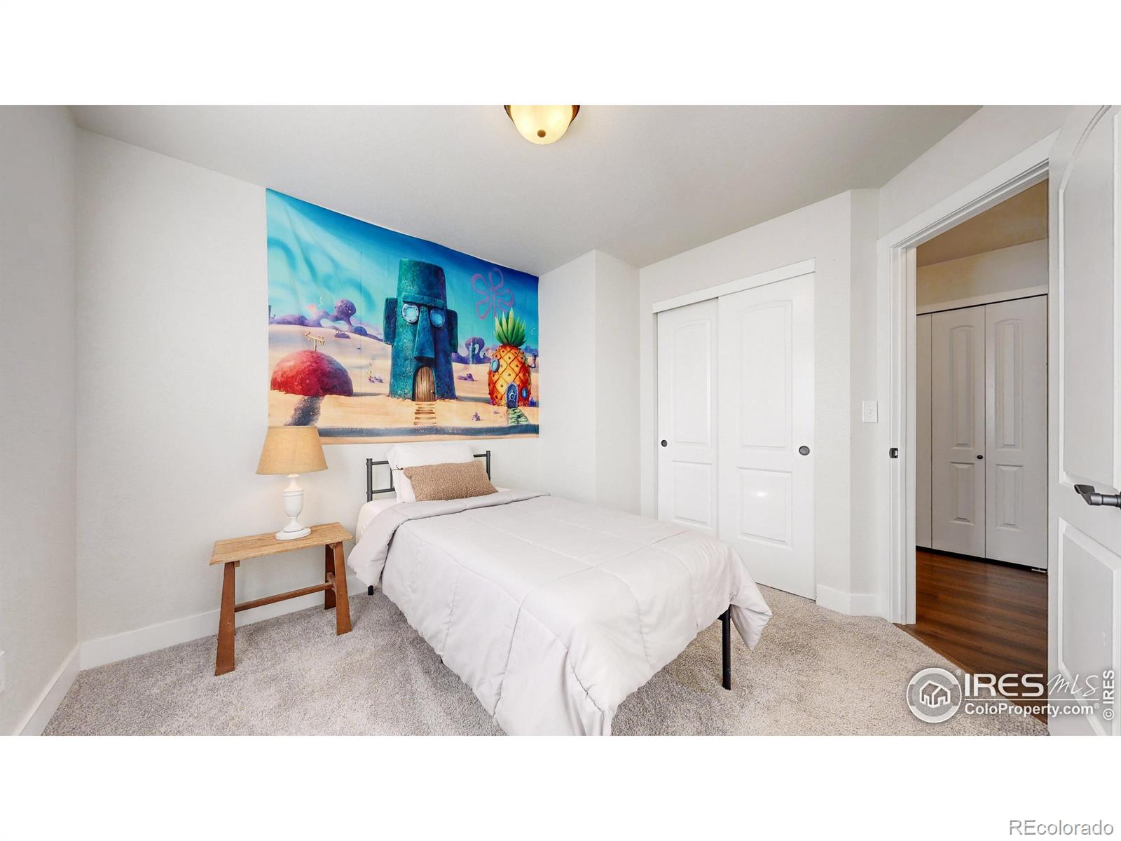 MLS Image #17 for 3753  mount ouray street,wellington, Colorado