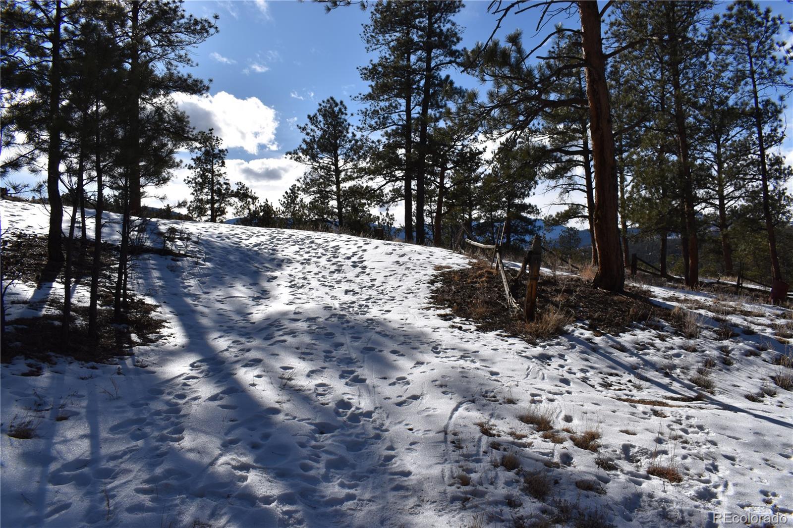 MLS Image #12 for    ,, Colorado