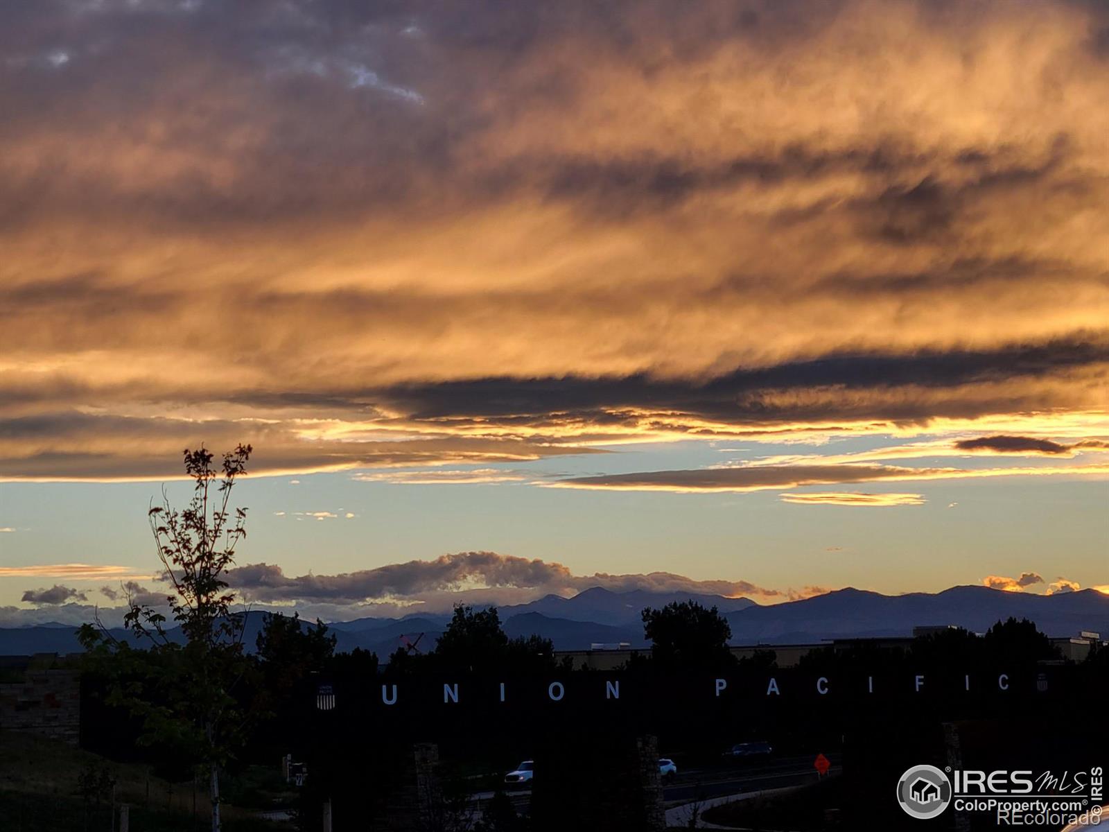 MLS Image #27 for 2463  cabin creek avenue,loveland, Colorado