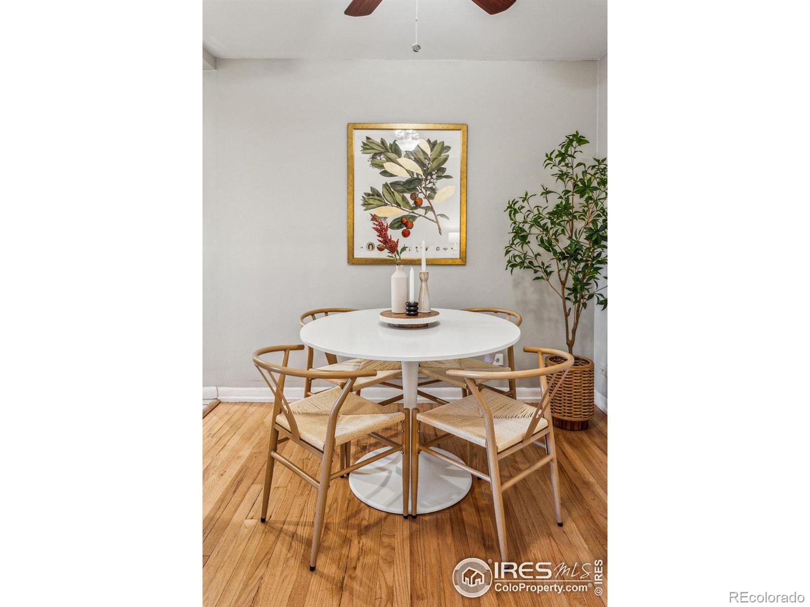 MLS Image #10 for 2717 s cook street,denver, Colorado