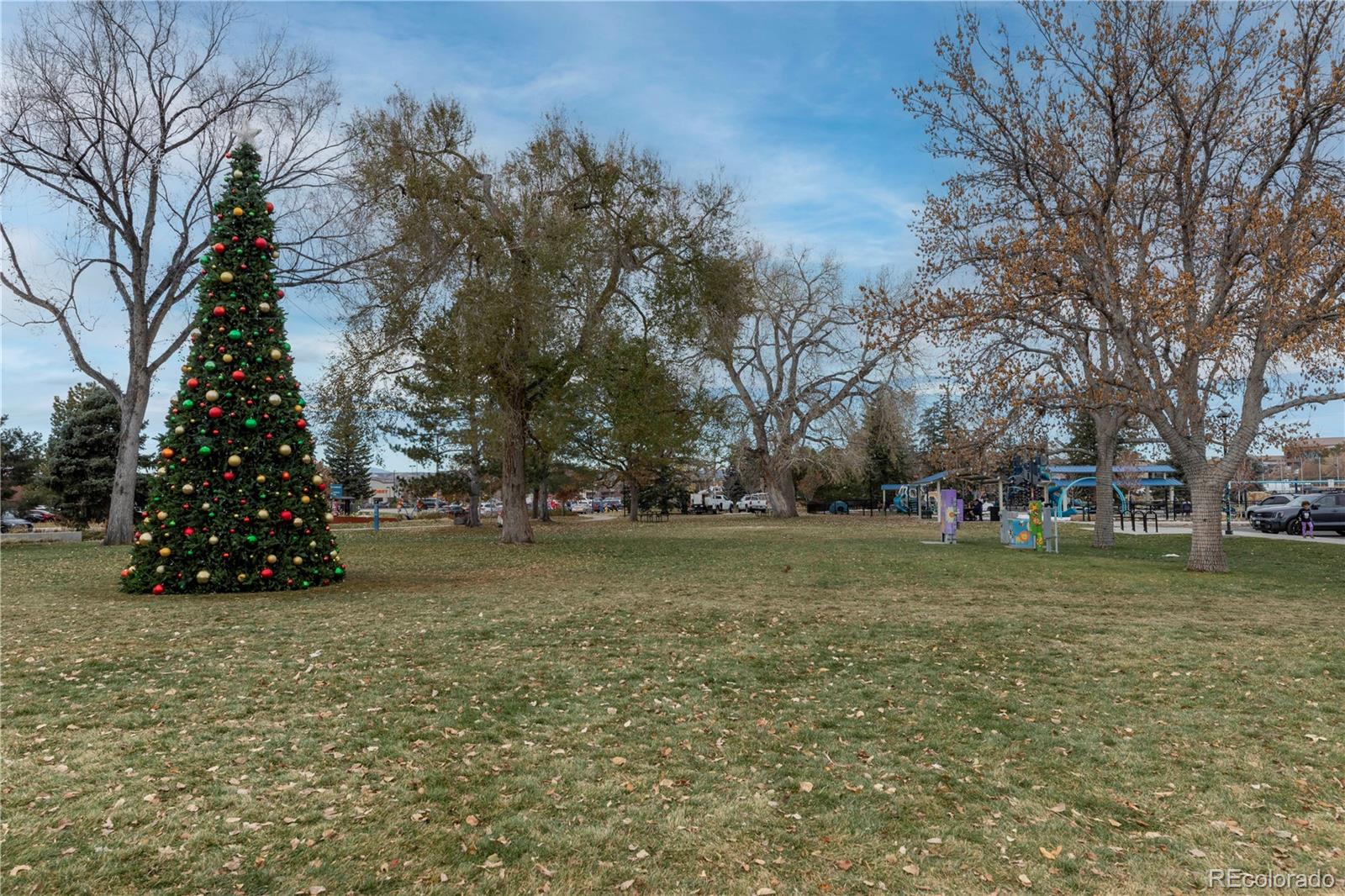 MLS Image #32 for 19618  rosewood court ,parker, Colorado