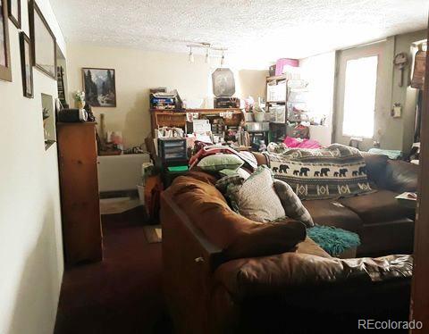 MLS Image #12 for 10795  county road 197 a ,nathrop, Colorado