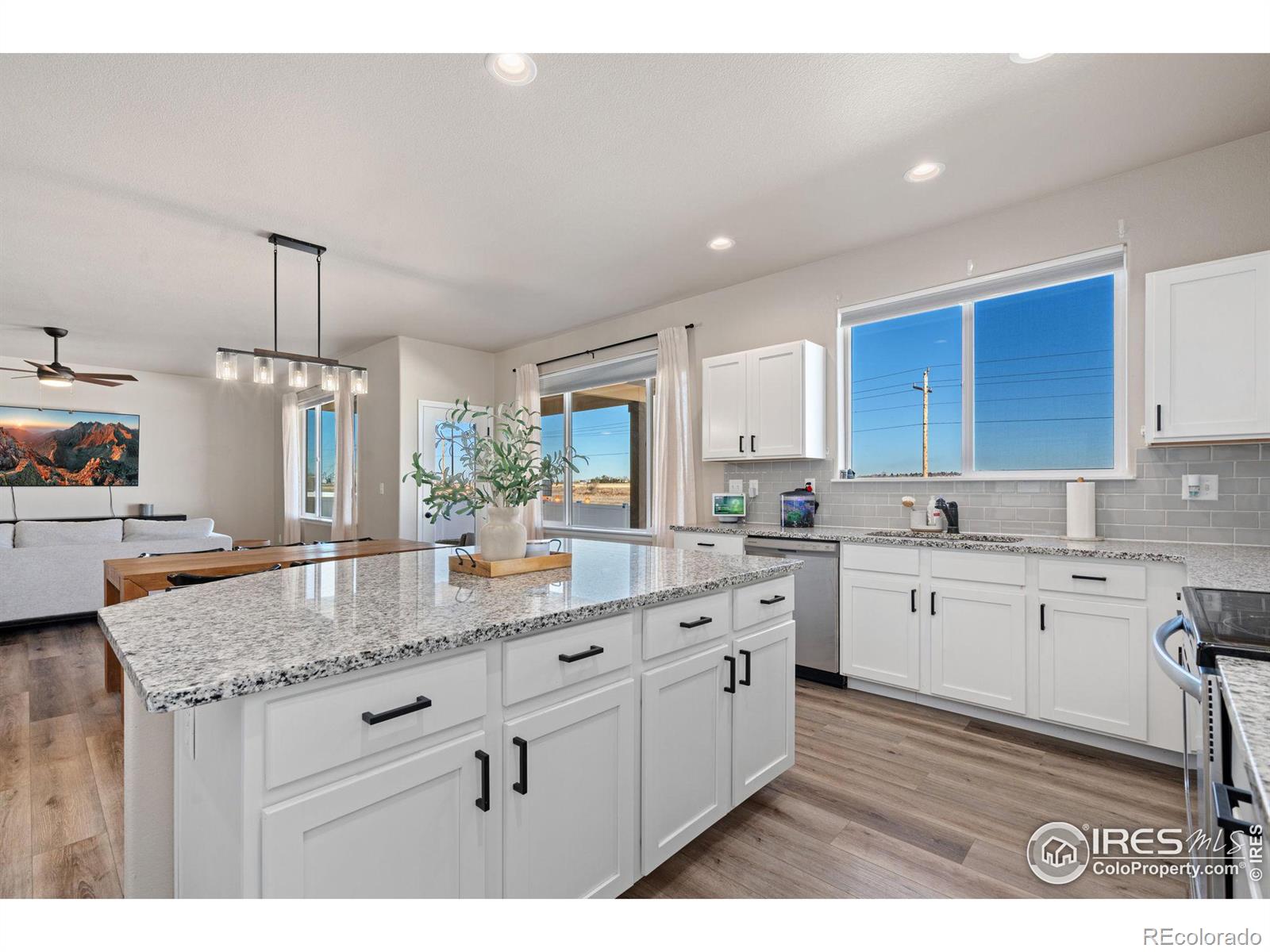 MLS Image #10 for 1081  brookvale drive,windsor, Colorado