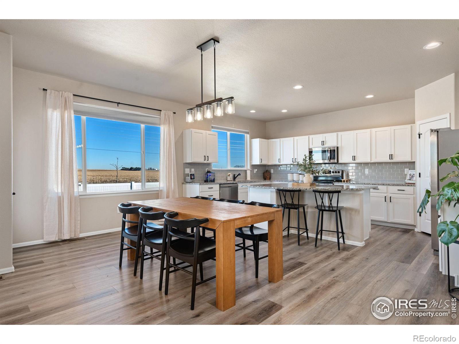 MLS Image #13 for 1081  brookvale drive,windsor, Colorado