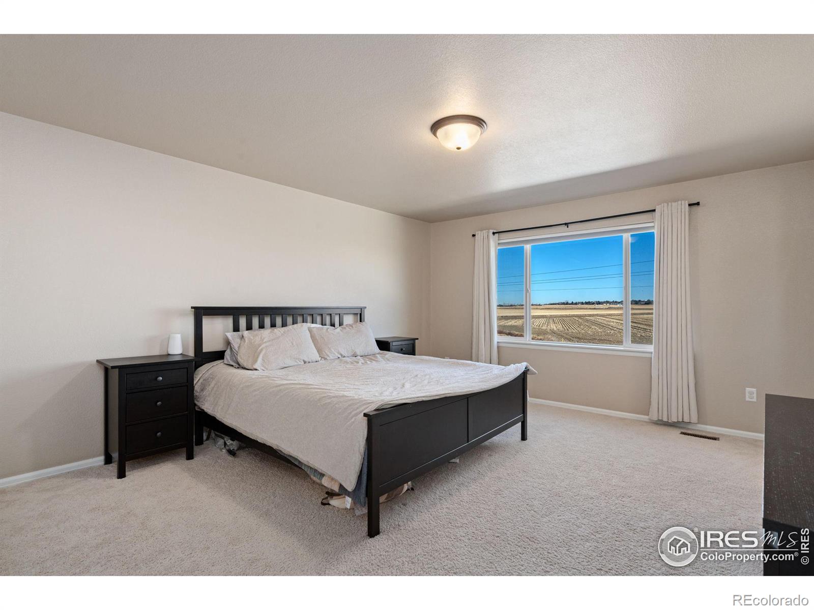 MLS Image #17 for 1081  brookvale drive,windsor, Colorado