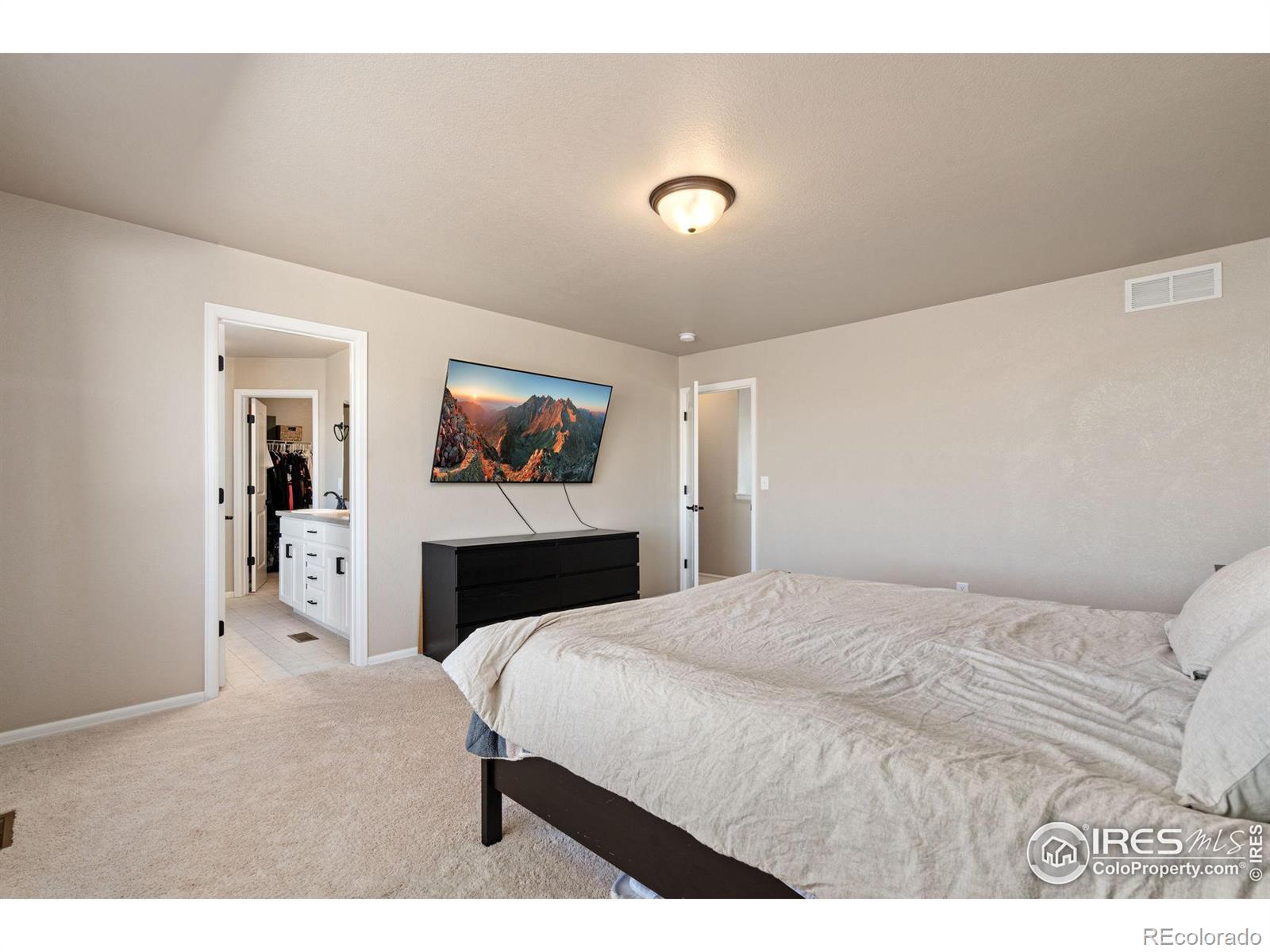 MLS Image #18 for 1081  brookvale drive,windsor, Colorado