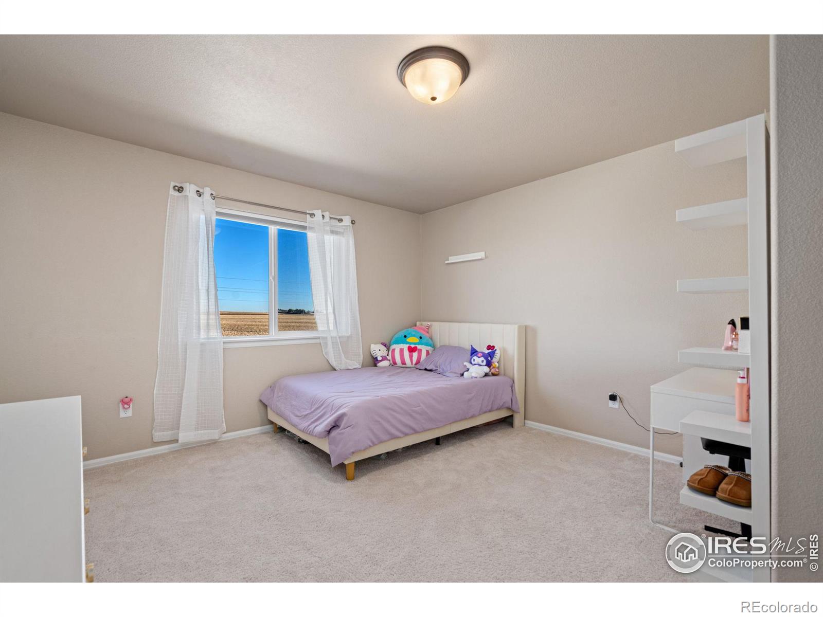 MLS Image #26 for 1081  brookvale drive,windsor, Colorado