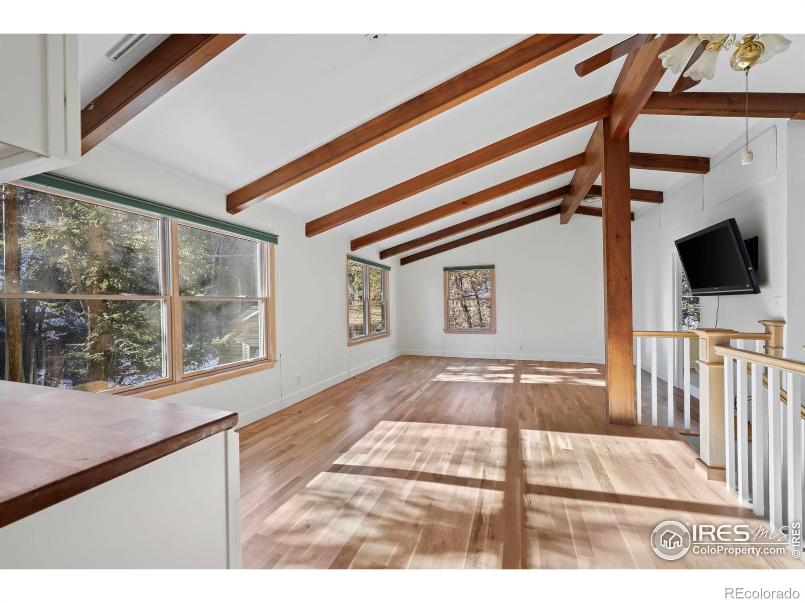 MLS Image #20 for 3644  fourmile canyon drive,boulder, Colorado