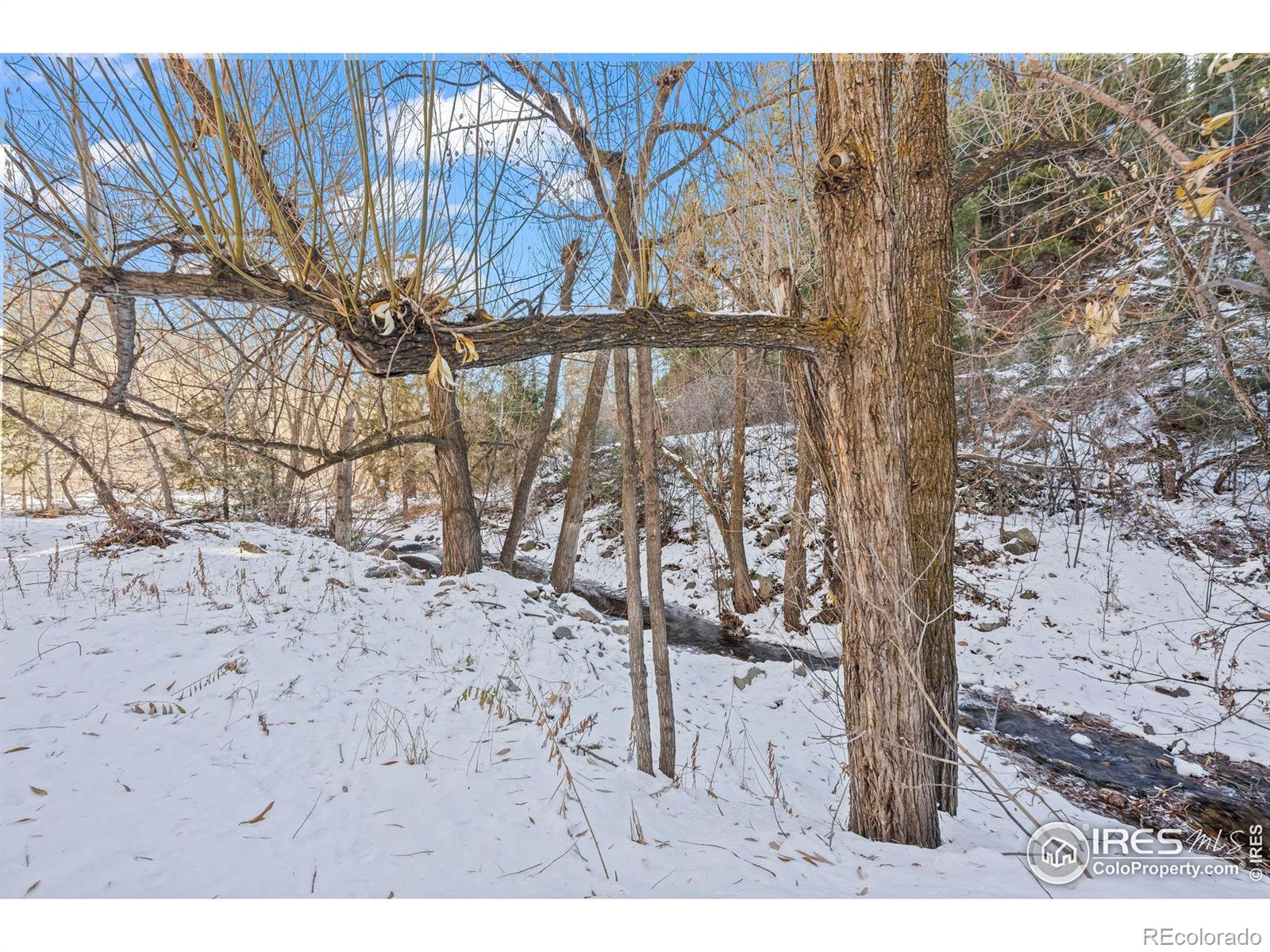 MLS Image #34 for 3644  fourmile canyon drive,boulder, Colorado