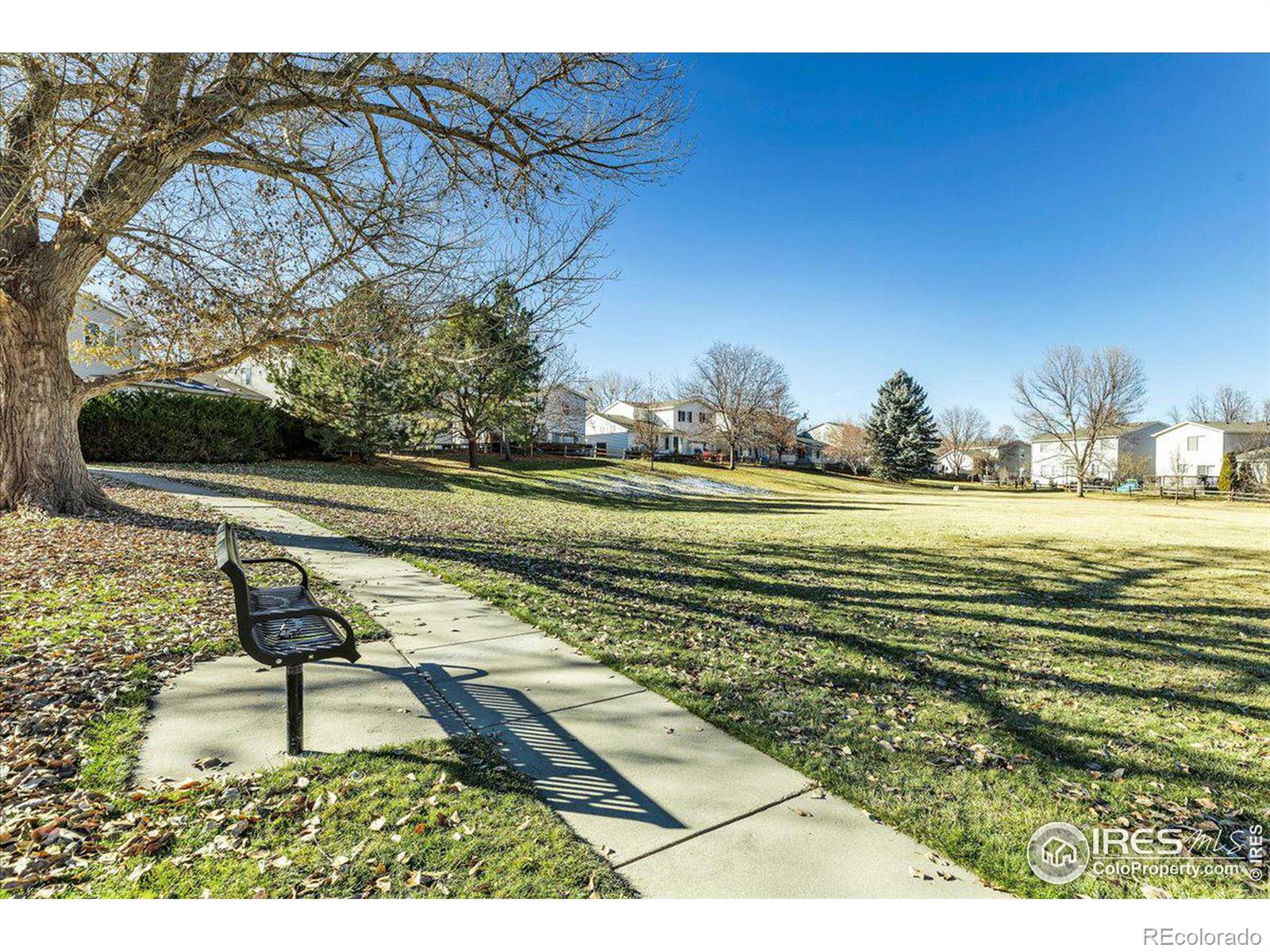 MLS Image #31 for 1319  cumberland drive,longmont, Colorado