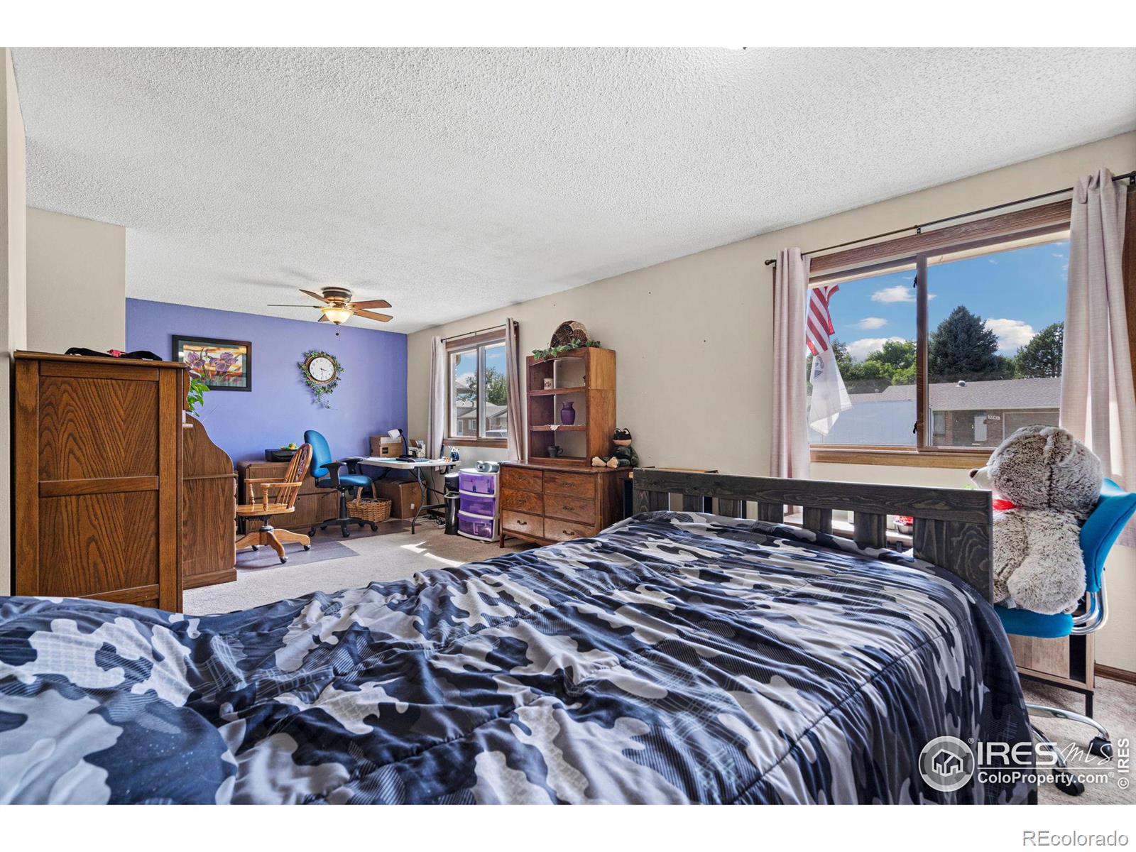 MLS Image #18 for 3762 n colorado avenue,loveland, Colorado