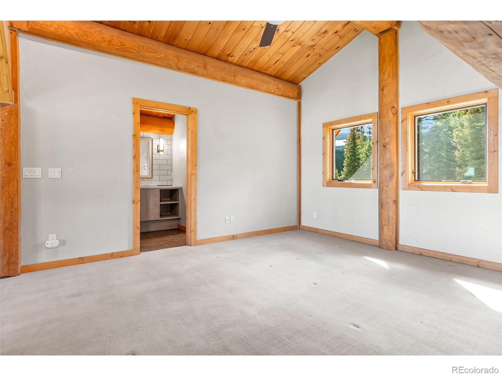 MLS Image #38 for 1204  zebulon street,fairplay, Colorado