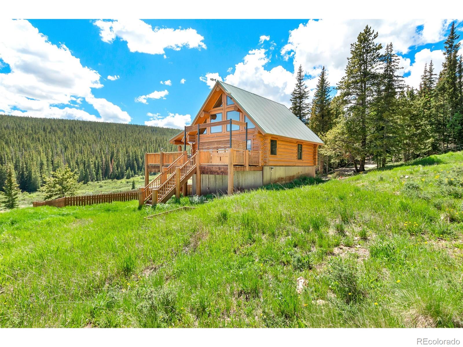 MLS Image #4 for 1204  zebulon street,fairplay, Colorado