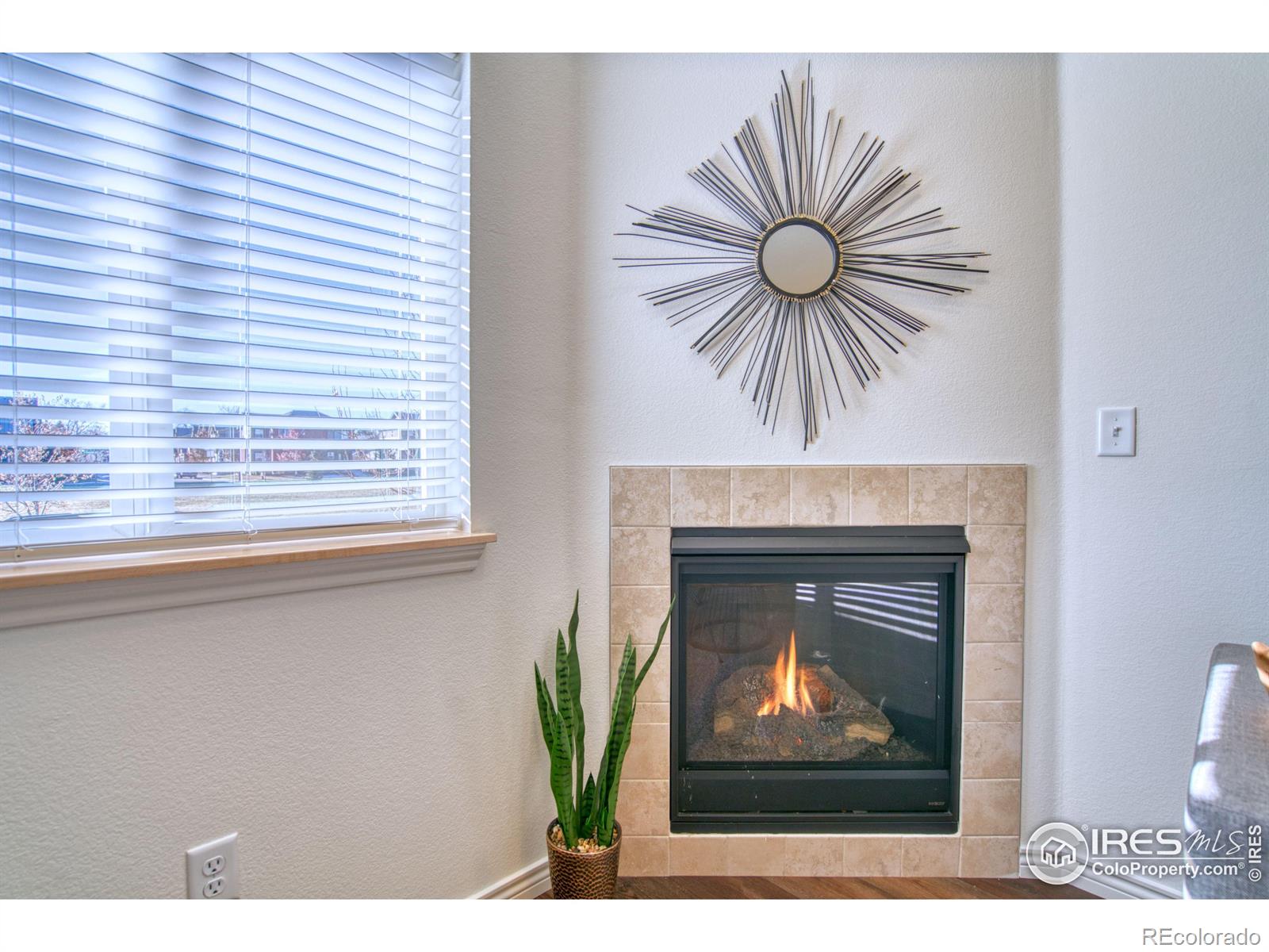 MLS Image #4 for 226 n parkside drive,longmont, Colorado