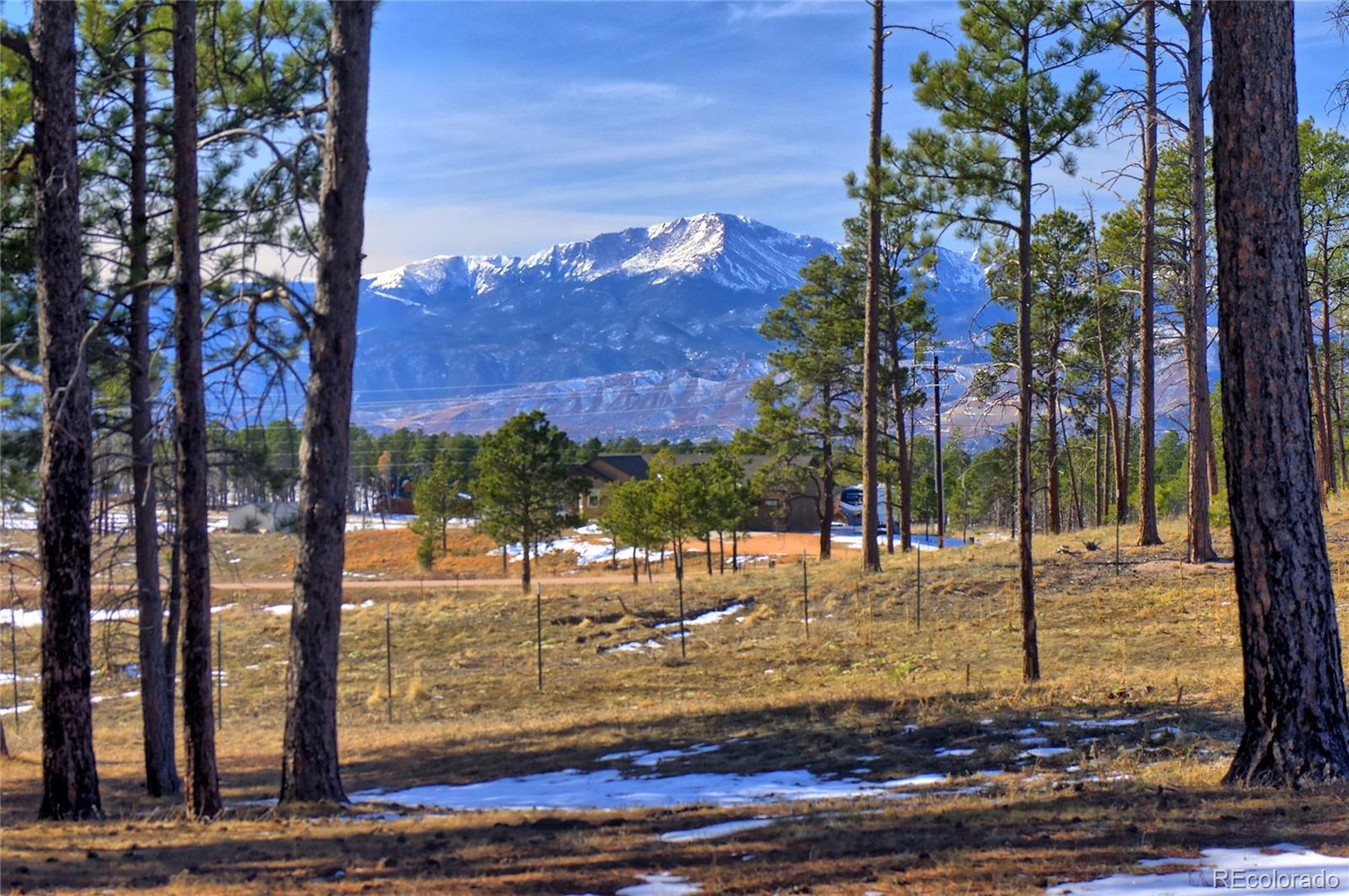 MLS Image #13 for 13385  herring road,colorado springs, Colorado