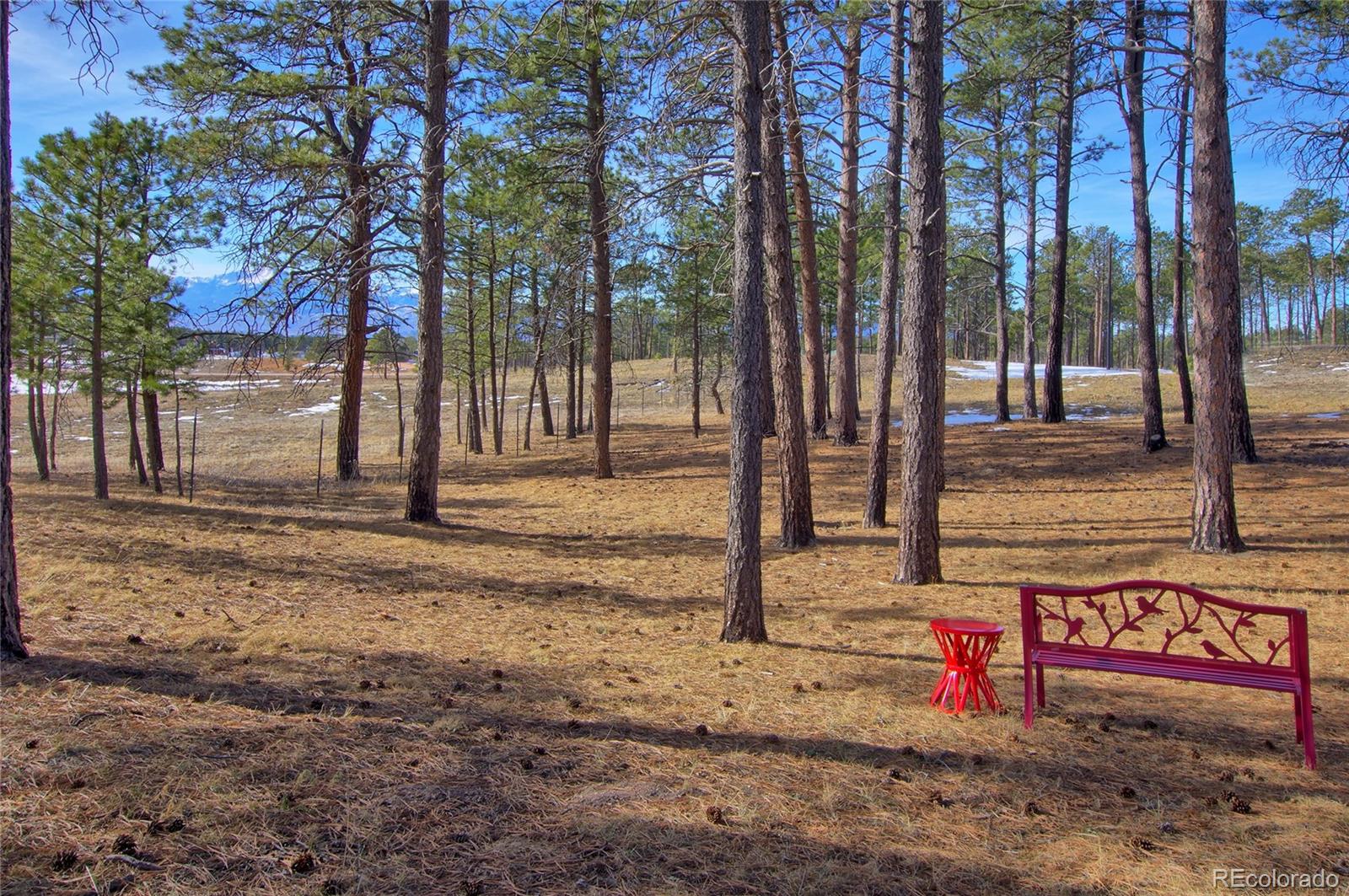 MLS Image #16 for 13385  herring road,colorado springs, Colorado