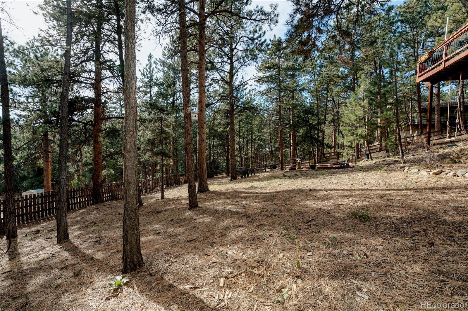 MLS Image #29 for 29204  wild rose drive,evergreen, Colorado