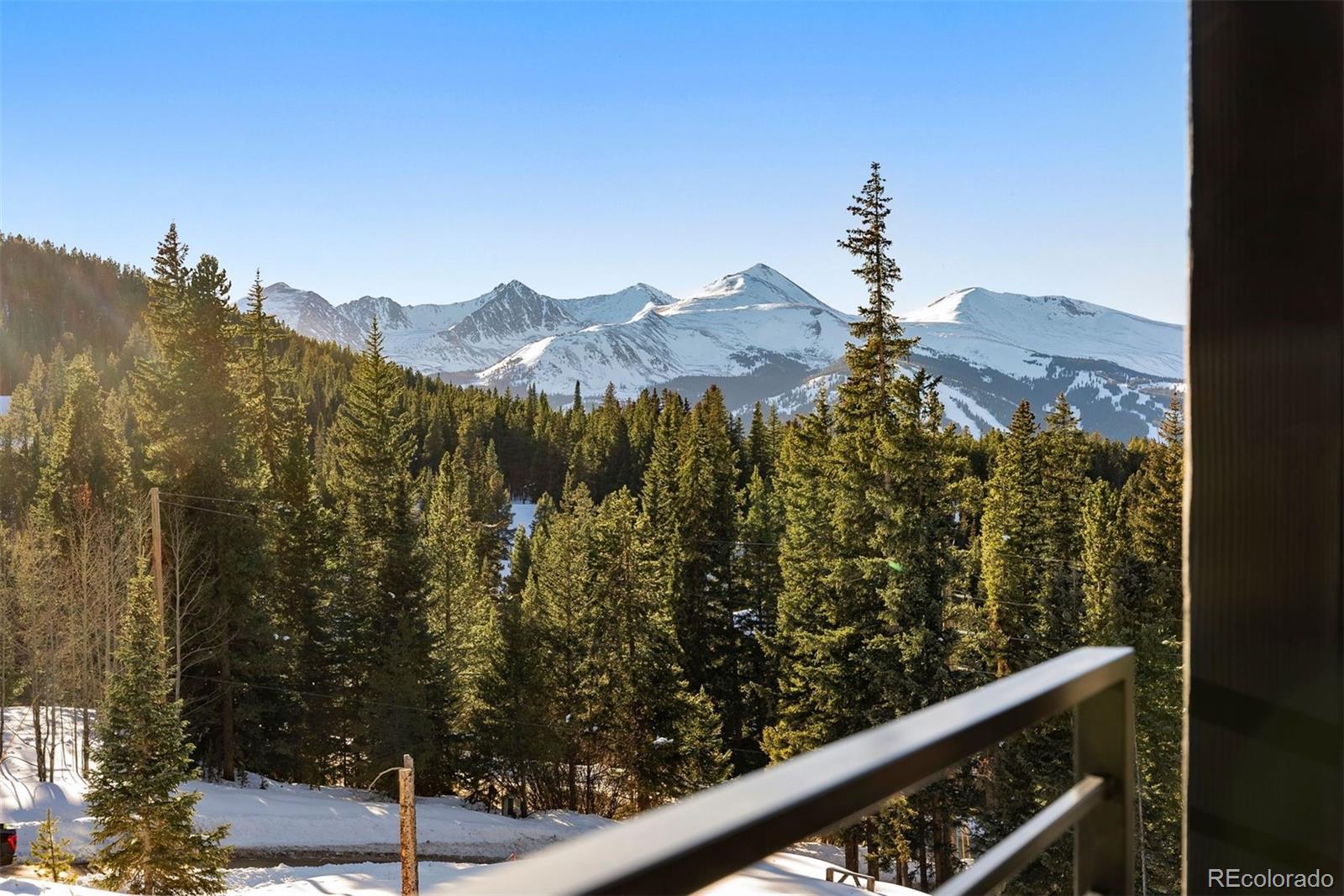 MLS Image #13 for 37  county road 528 ,breckenridge, Colorado