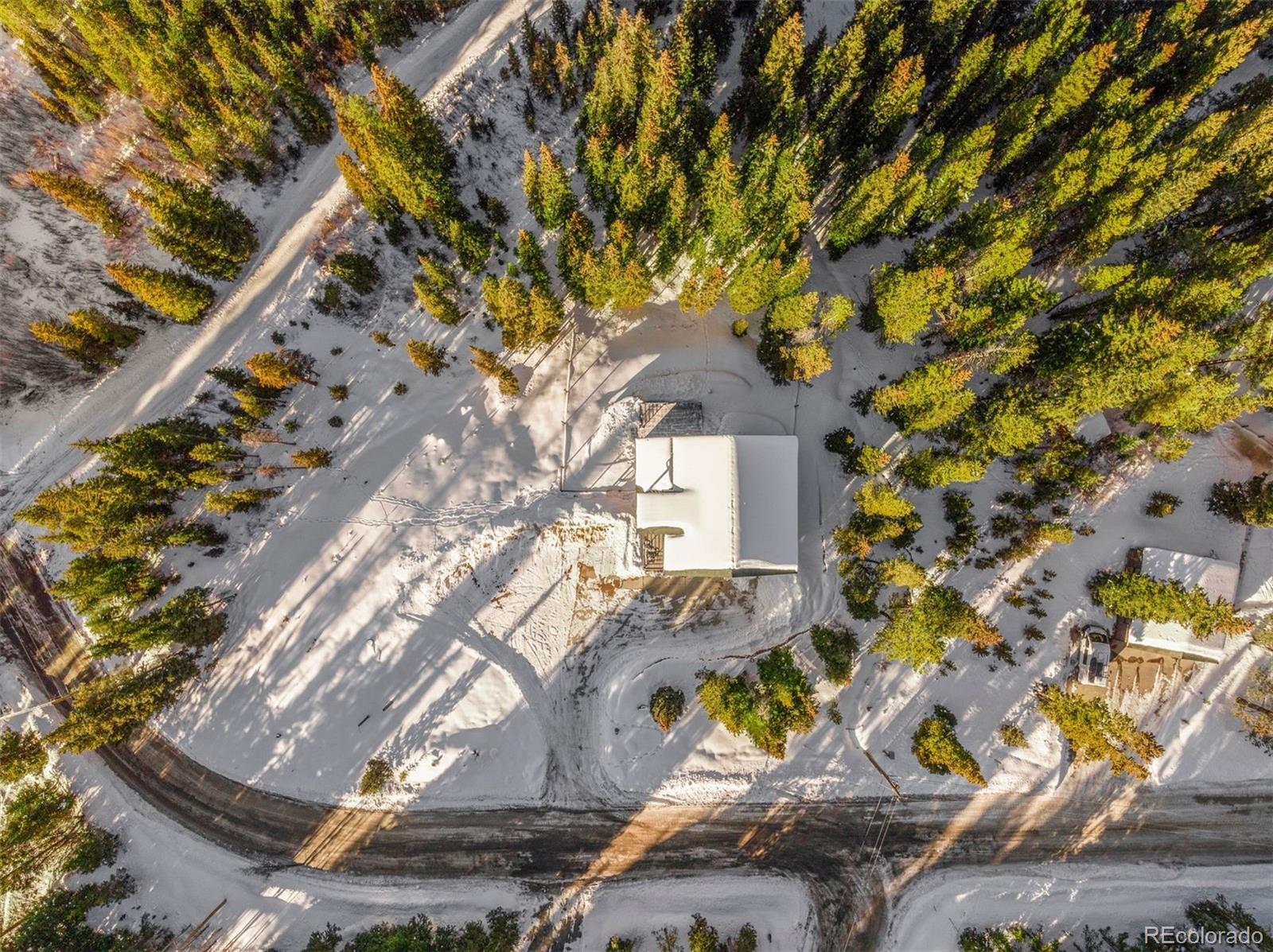 MLS Image #42 for 37  county road 528 ,breckenridge, Colorado