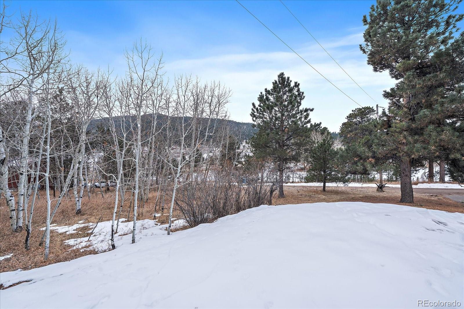 MLS Image #10 for 26237  de berry street,conifer, Colorado