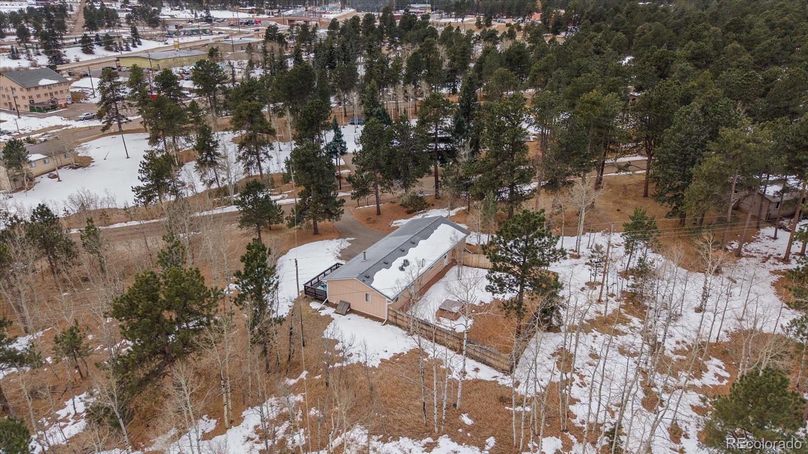 MLS Image #6 for 26237  de berry street,conifer, Colorado