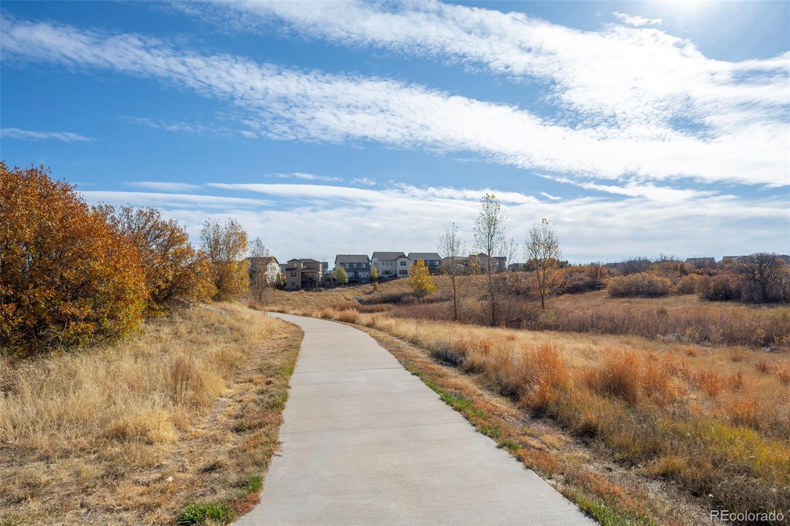 MLS Image #42 for 4061  spanish oaks trail,castle rock, Colorado