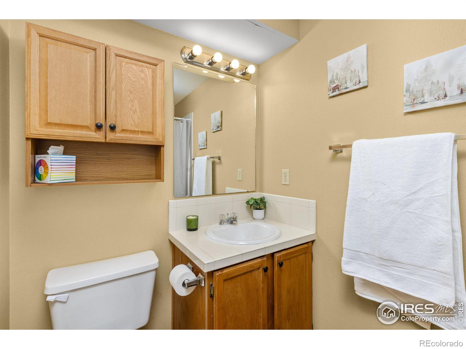 MLS Image #13 for 1486  cattail drive,loveland, Colorado