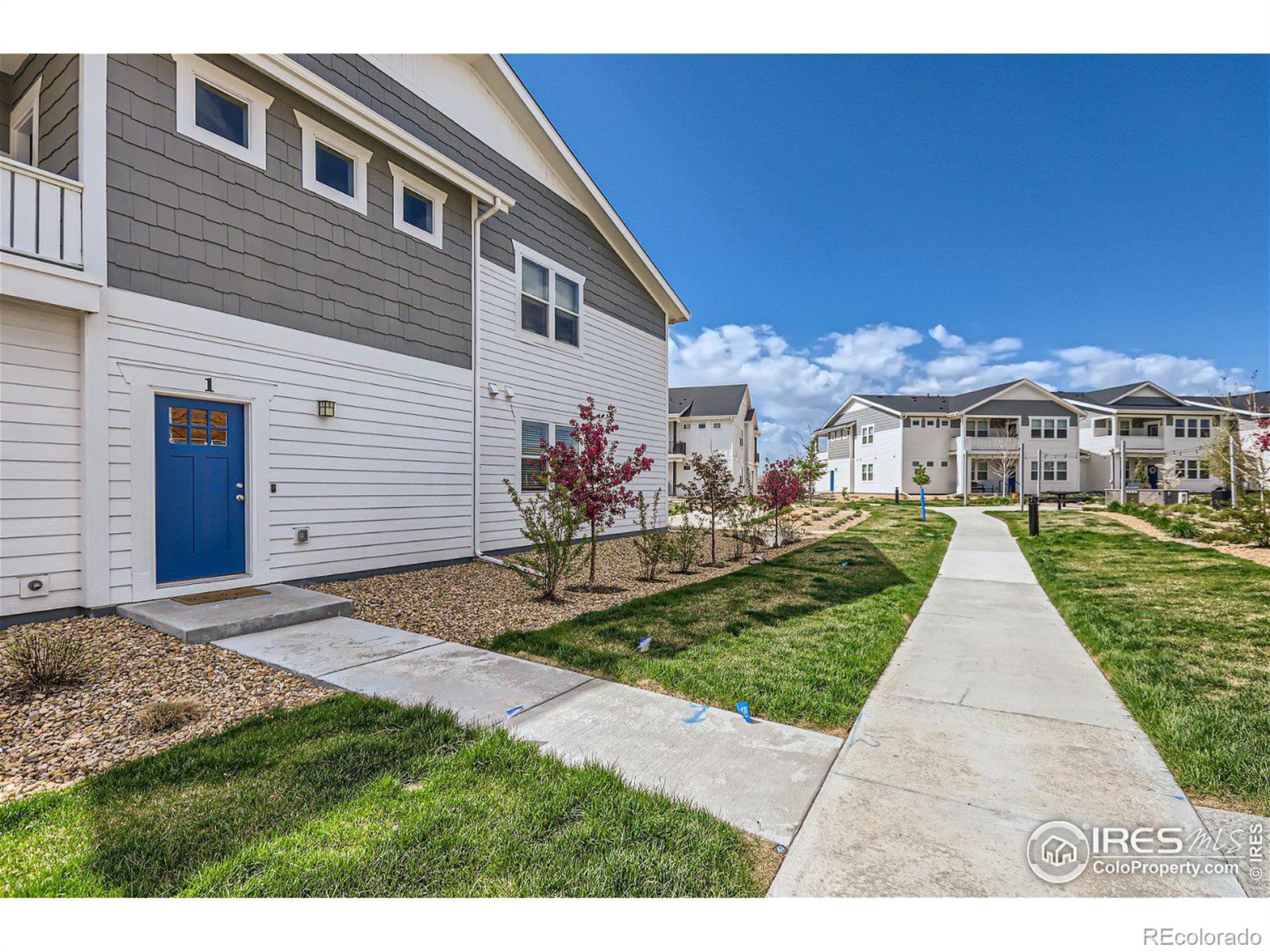 MLS Image #1 for 2078  autumn moon drive,windsor, Colorado