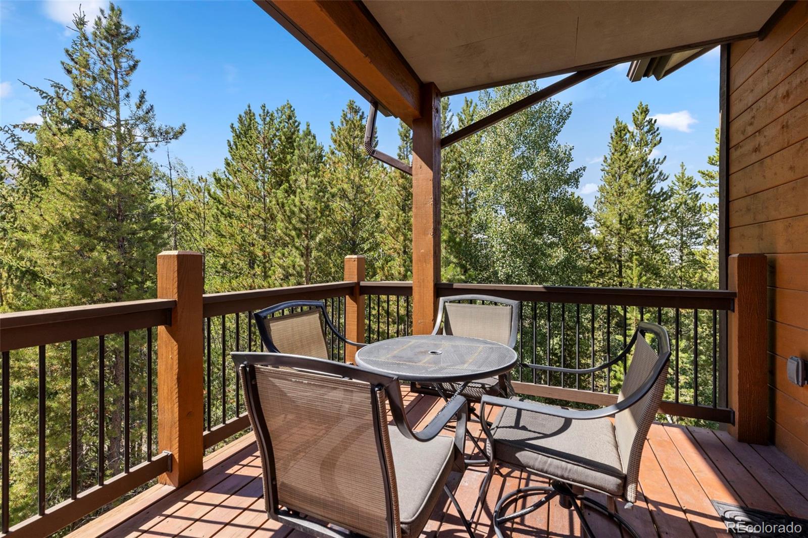 MLS Image #16 for 73  maggie placer loop,breckenridge, Colorado