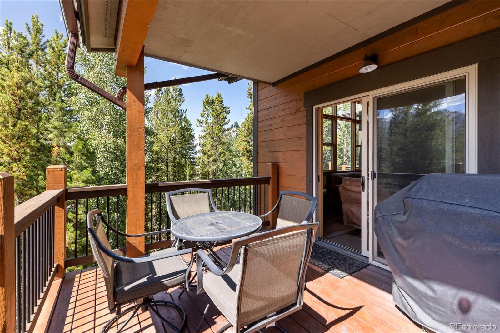 MLS Image #17 for 73  maggie placer loop,breckenridge, Colorado