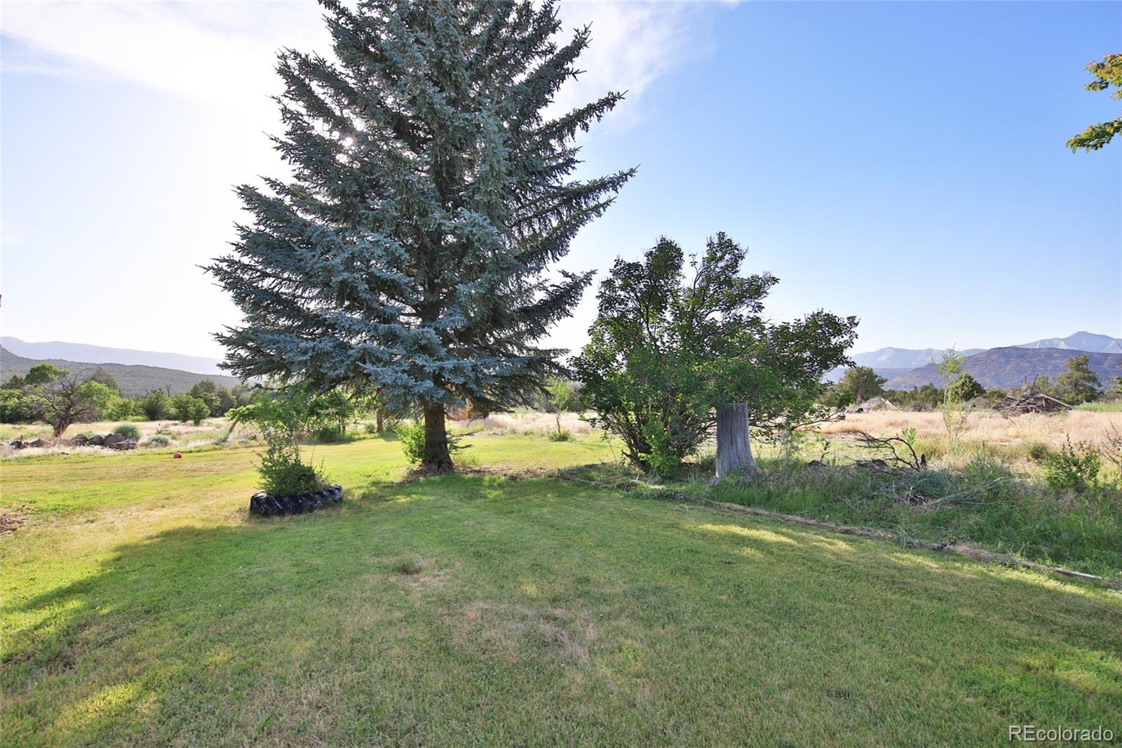 MLS Image #22 for 10519  52.5 road,mesa, Colorado