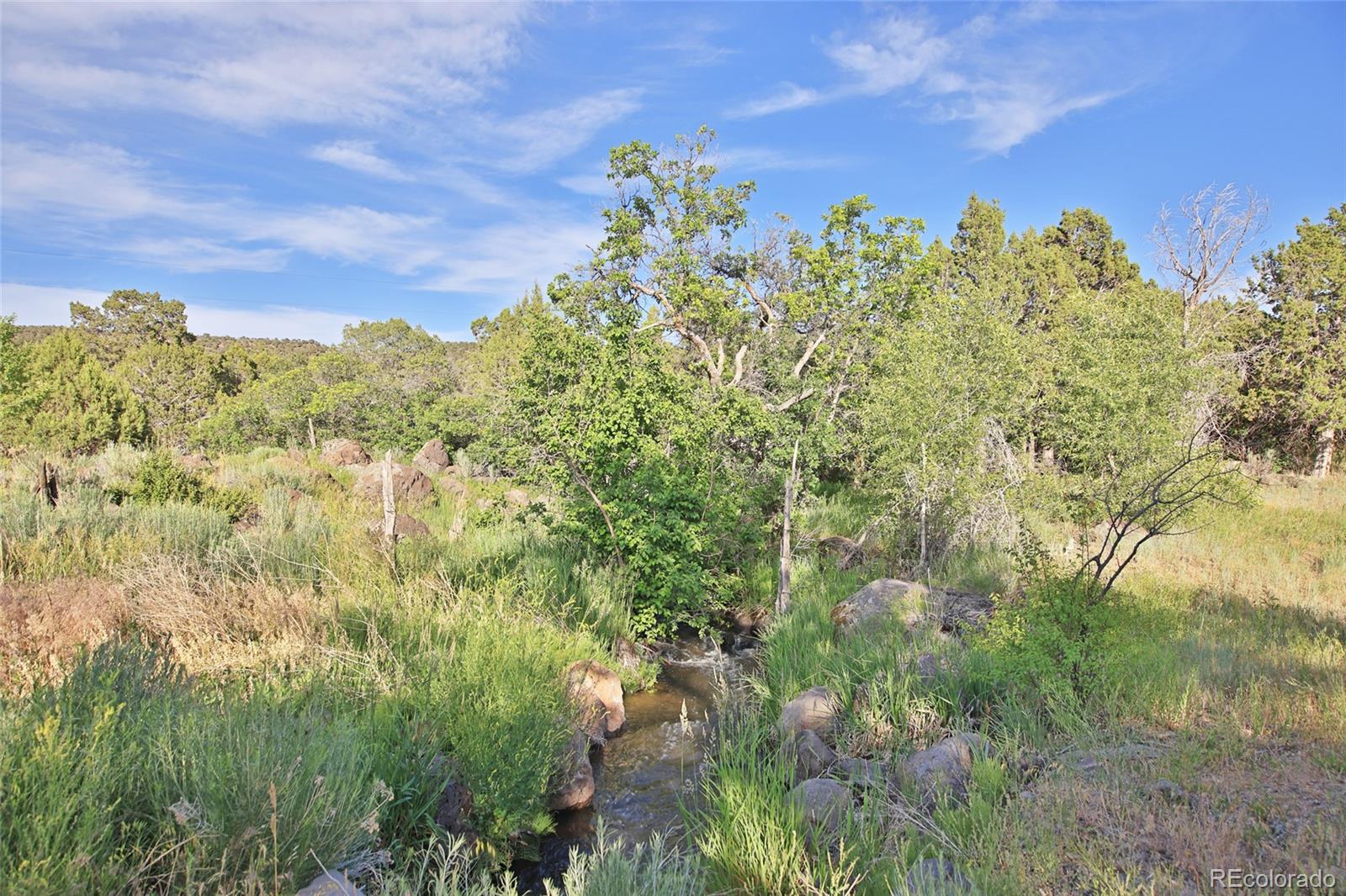 MLS Image #23 for 10519  52.5 road,mesa, Colorado