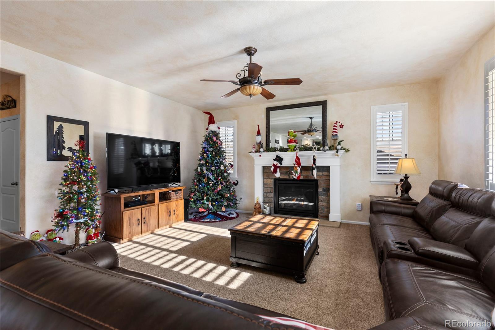 MLS Image #14 for 8104  el jebel loop,castle rock, Colorado