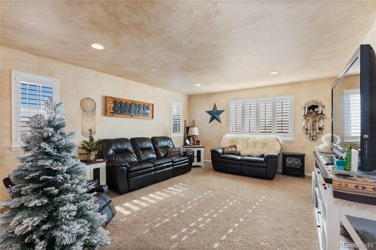 MLS Image #23 for 8104  el jebel loop,castle rock, Colorado