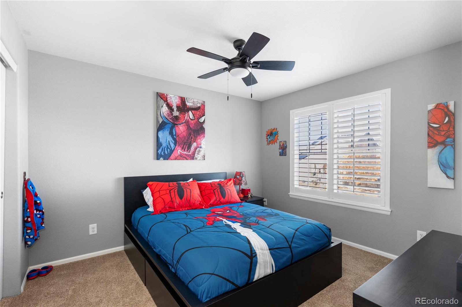 MLS Image #27 for 8104  el jebel loop,castle rock, Colorado