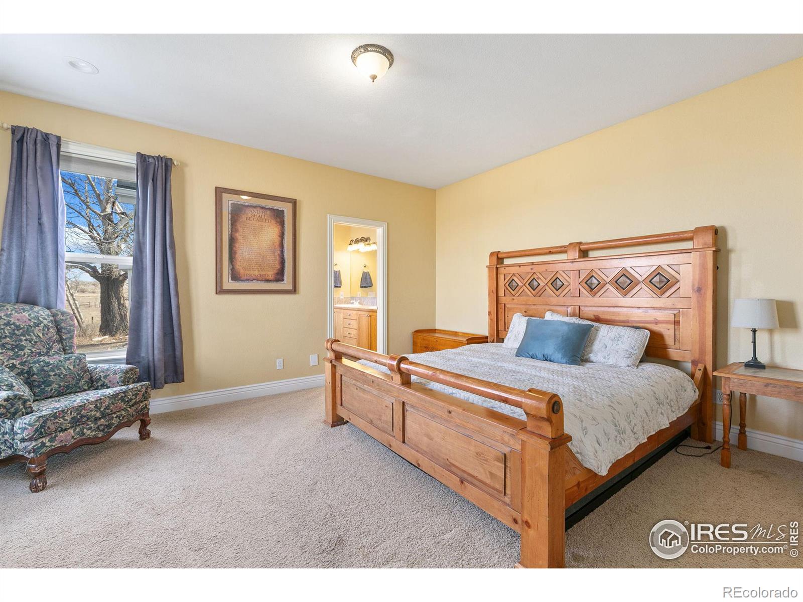 MLS Image #10 for 6047  pawnee court,wellington, Colorado