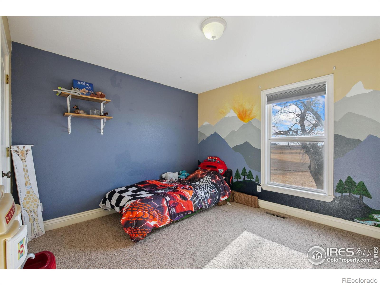 MLS Image #14 for 6047  pawnee court,wellington, Colorado