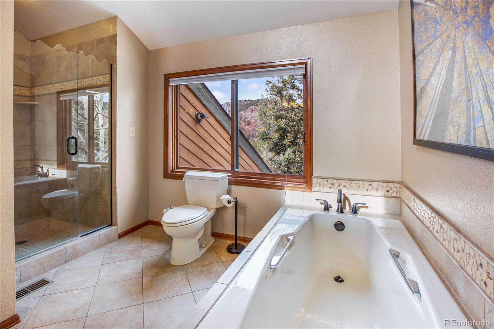 MLS Image #29 for 590  creek side drive,woodland park, Colorado