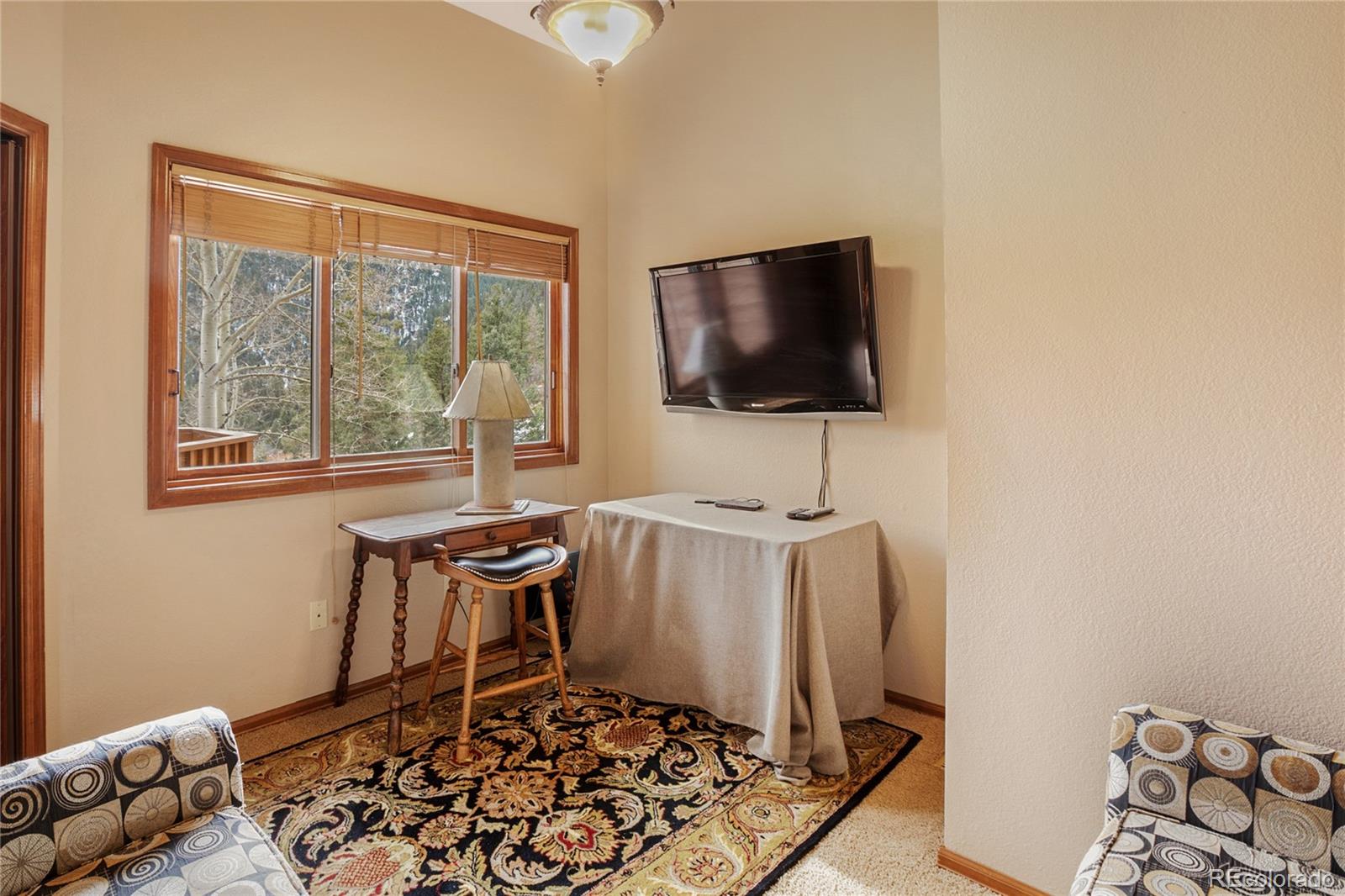 MLS Image #31 for 590  creek side drive,woodland park, Colorado