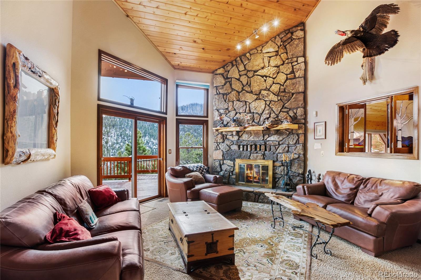 MLS Image #8 for 590  creek side drive,woodland park, Colorado