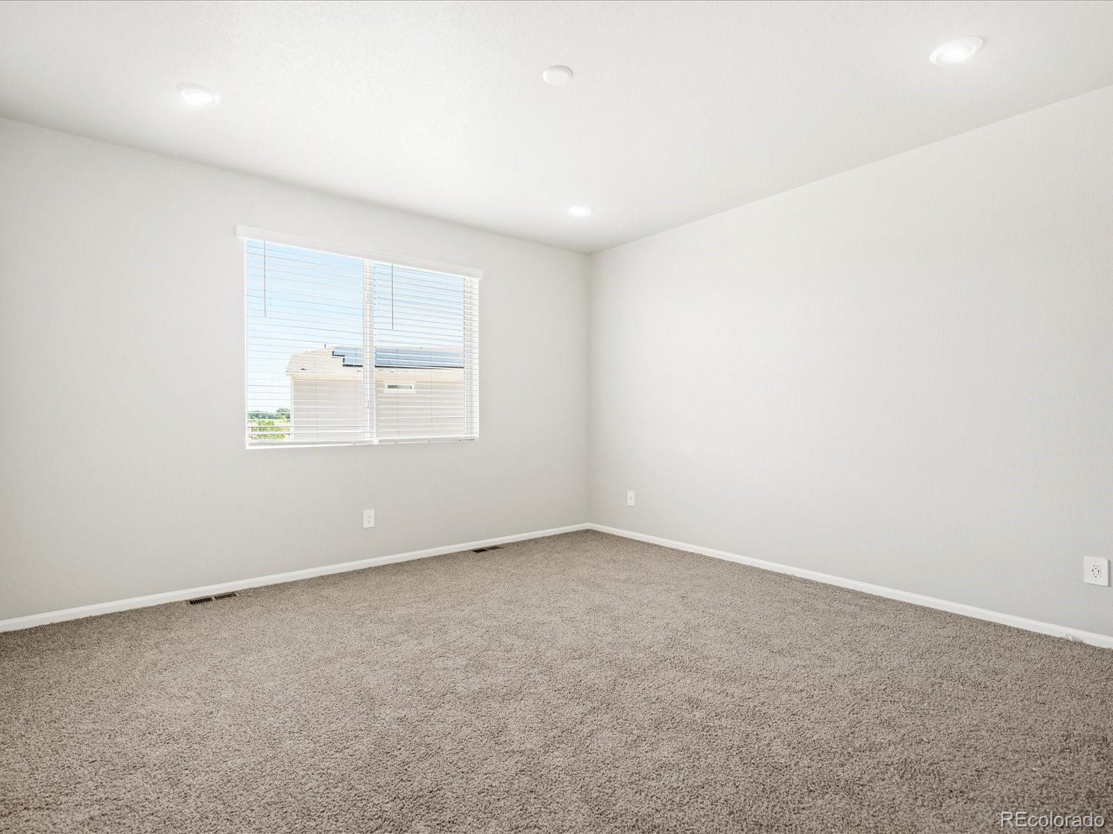 MLS Image #20 for 1659  rumley creek drive,windsor, Colorado