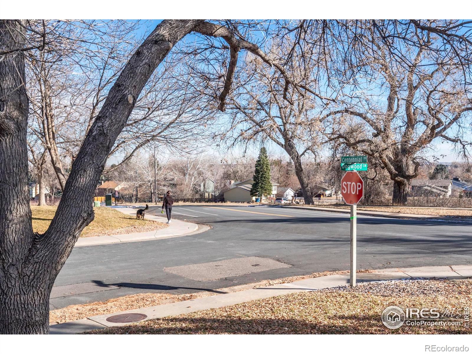 MLS Image #2 for 2358  dogwood circle,louisville, Colorado