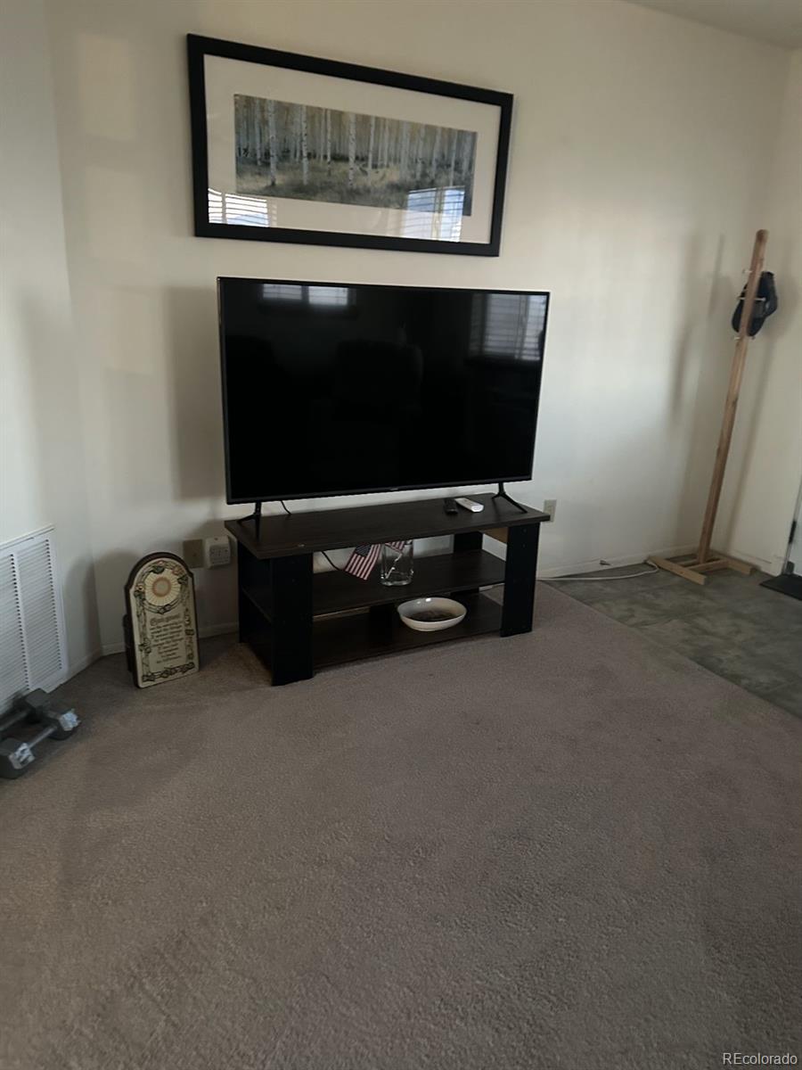 MLS Image #22 for 18886  mountainview boulevard,albany, Colorado