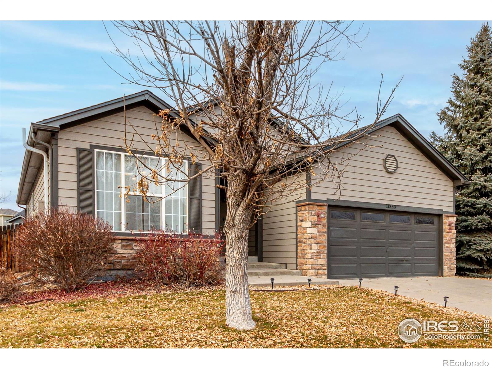 MLS Image #3 for 11353  jersey way,thornton, Colorado