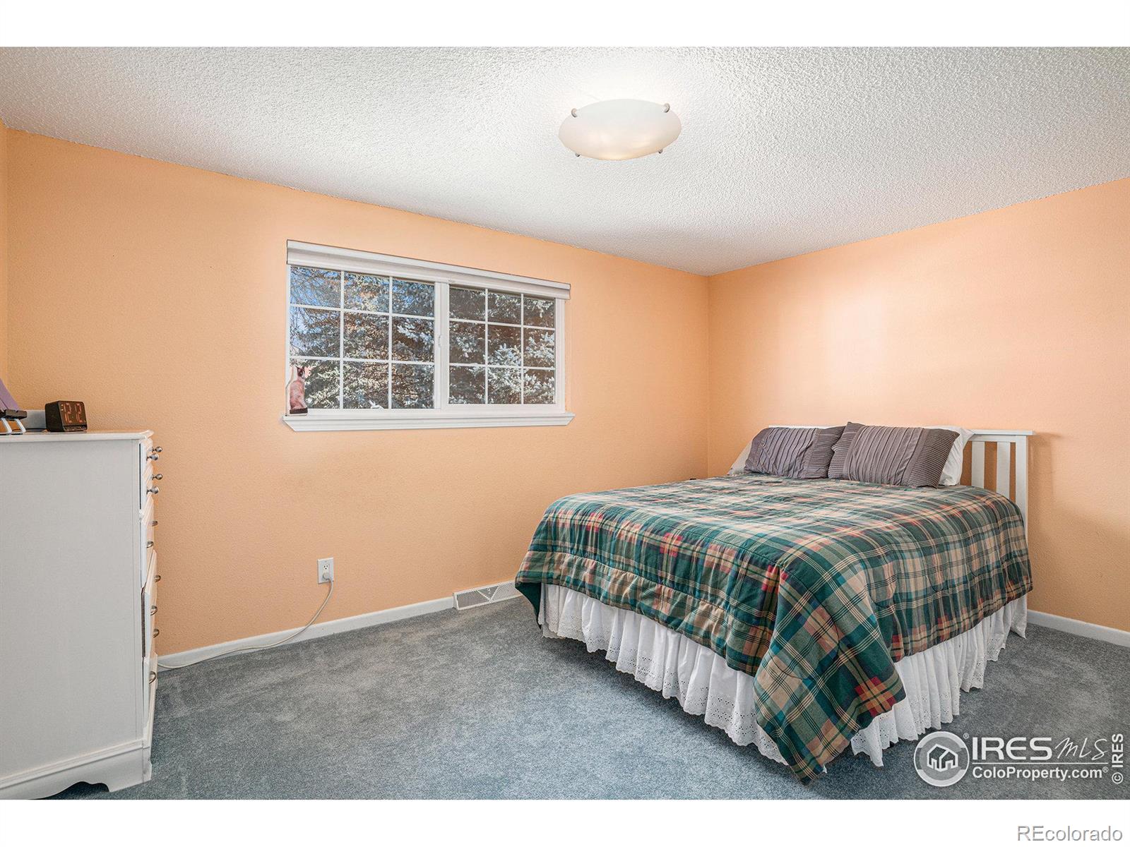 MLS Image #10 for 453  newman circle,longmont, Colorado