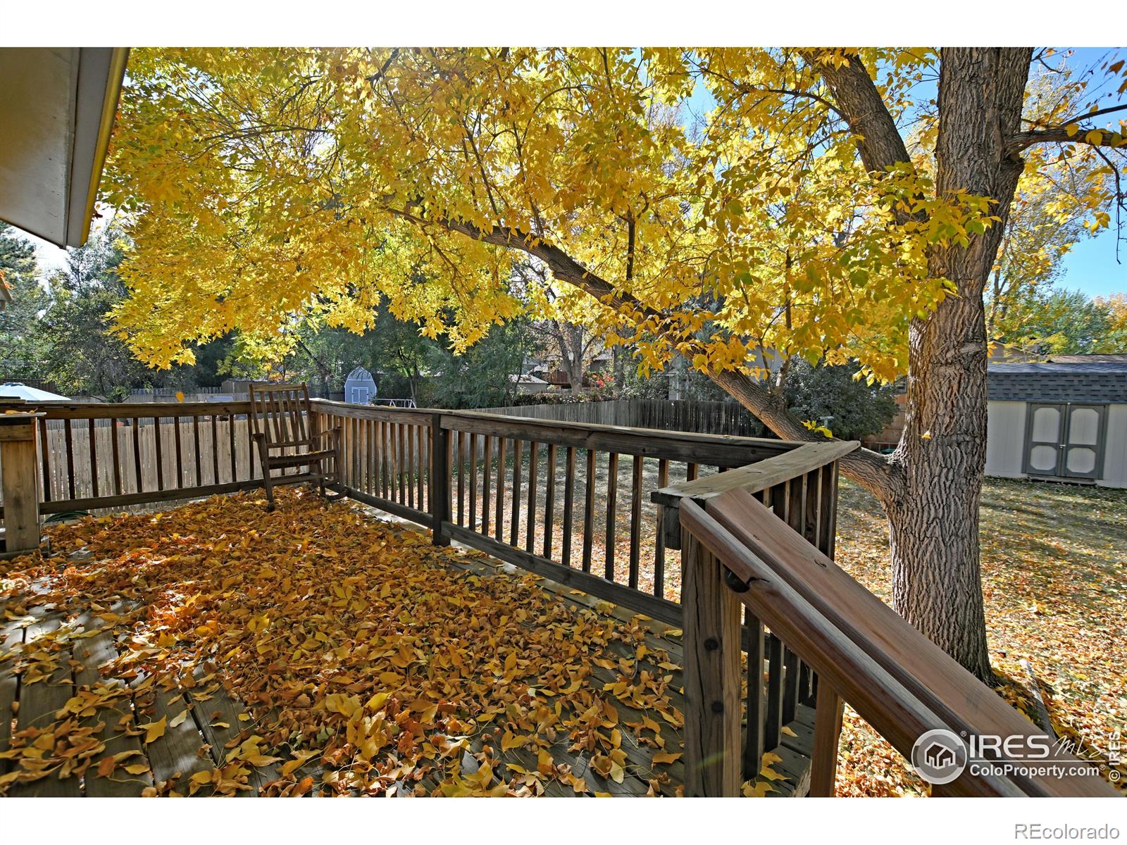 MLS Image #28 for 2919  sagebrush drive,fort collins, Colorado