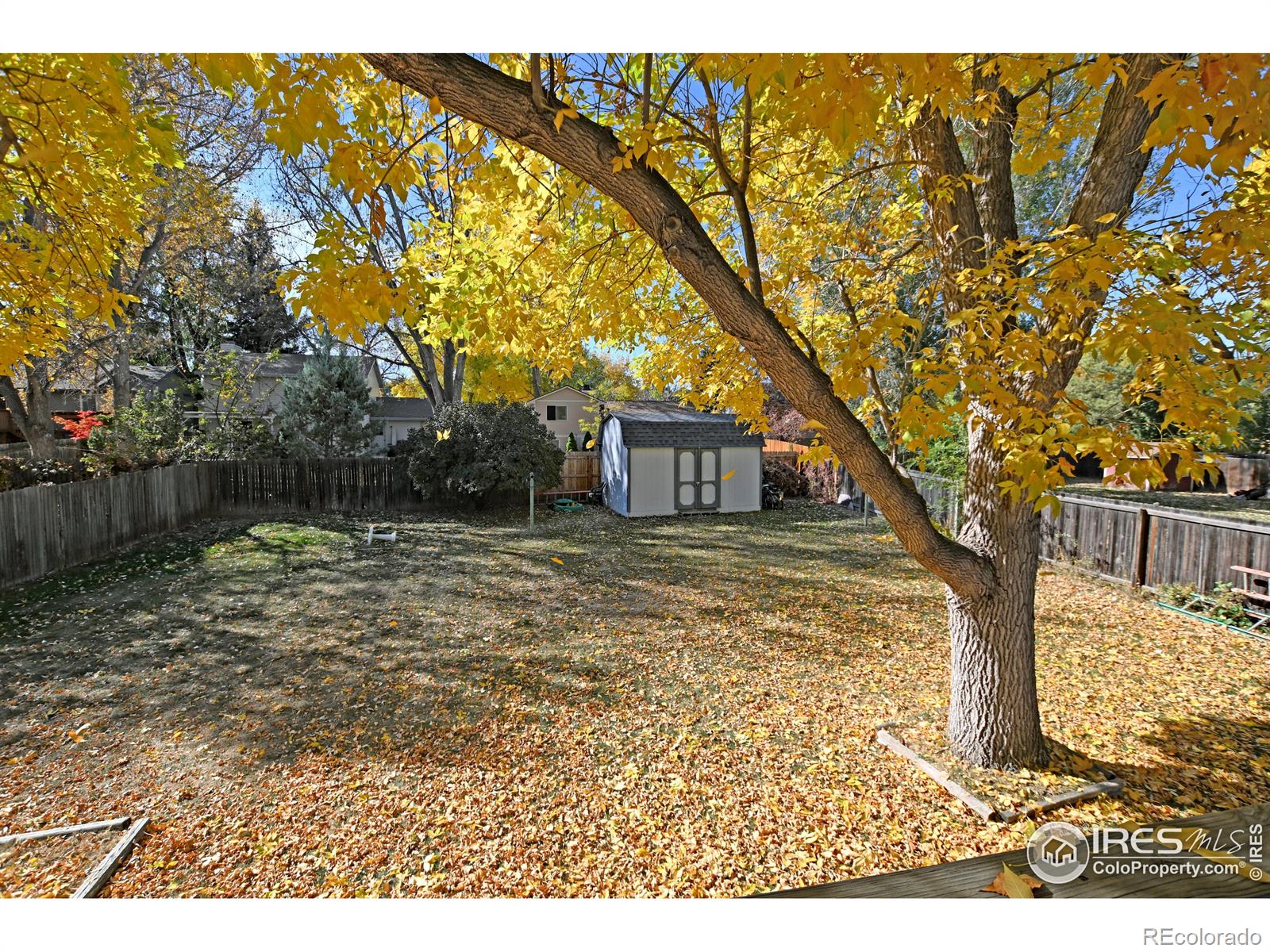 MLS Image #36 for 2919  sagebrush drive,fort collins, Colorado