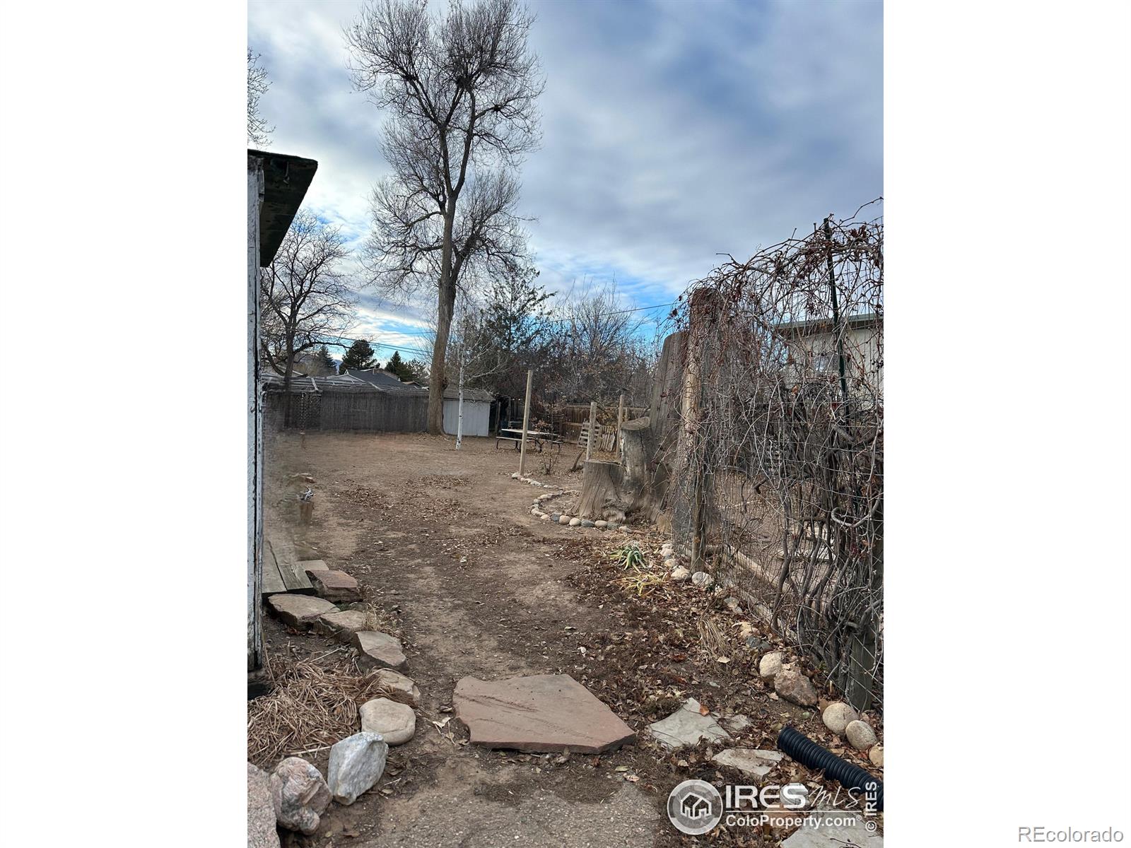 MLS Image #13 for 347 n shields street,fort collins, Colorado