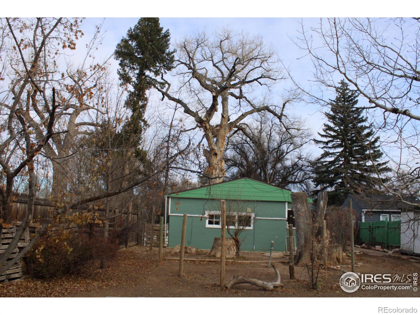 MLS Image #17 for 347 n shields street,fort collins, Colorado