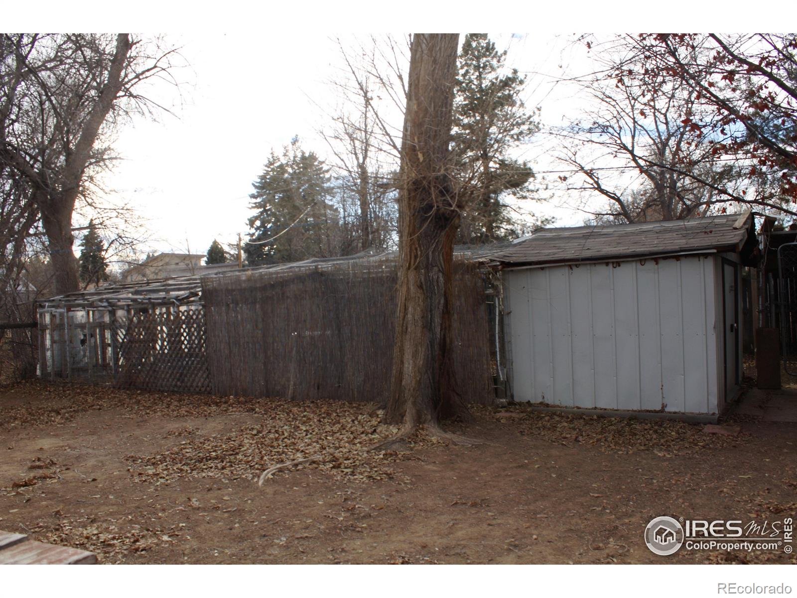 MLS Image #18 for 347 n shields street,fort collins, Colorado